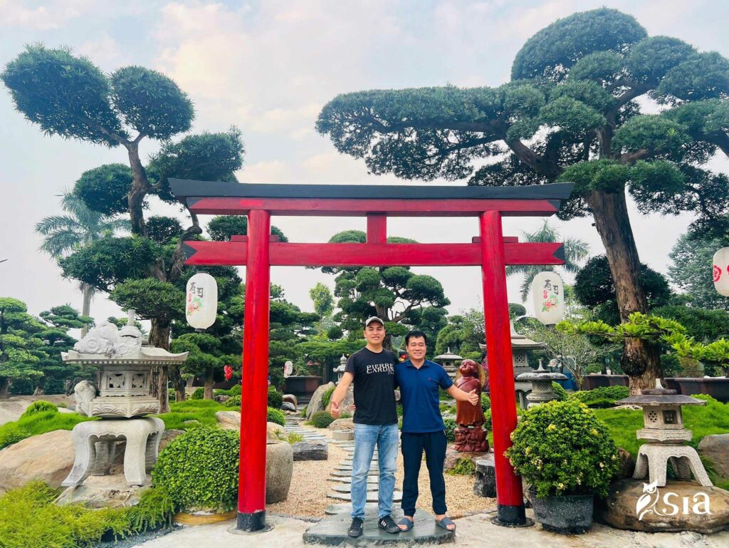 Cổng torii